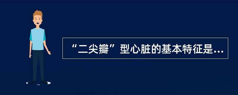 “二尖瓣”型心脏的基本特征是（）