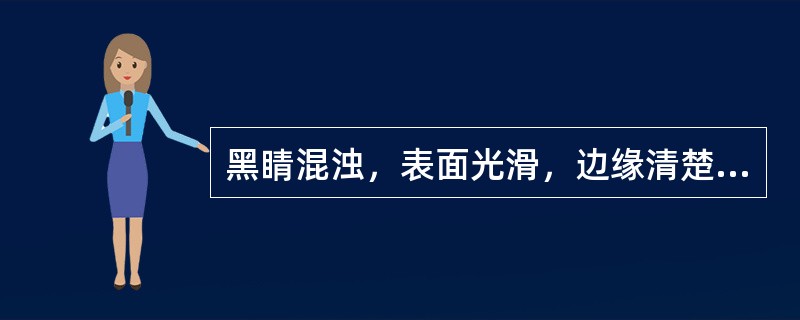 黑睛混浊，表面光滑，边缘清楚，基底干净，荧光素染色阴性，病变处于静止状况。称（）