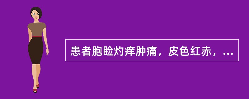 患者胞睑灼痒肿痛，皮色红赤，渗出粘液。根据症状，其诊断是（）。