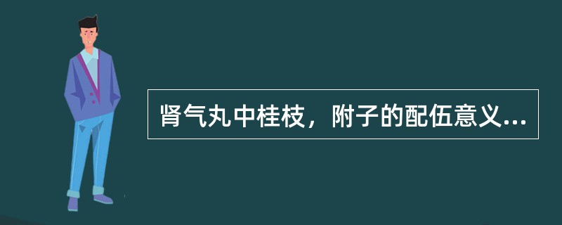 肾气丸中桂枝，附子的配伍意义主要是（）。