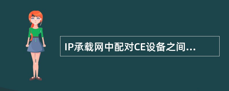 IP承载网中配对CE设备之间的互联地址使用该业务VPN网段的最大地址，掩码（）位