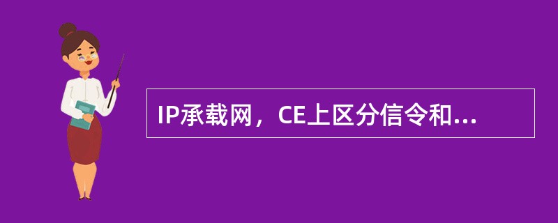 IP承载网，CE上区分信令和话音通过（）技术。