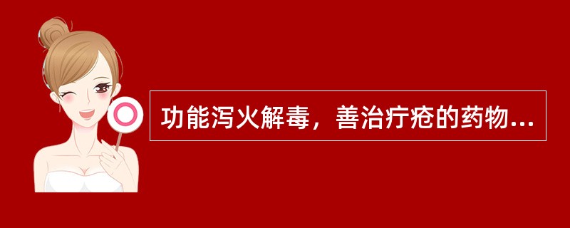 功能泻火解毒，善治疔疮的药物是（）。