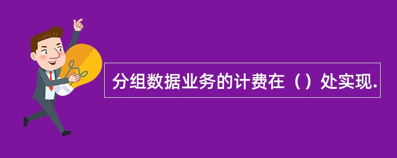 分组数据业务的计费在（）处实现.