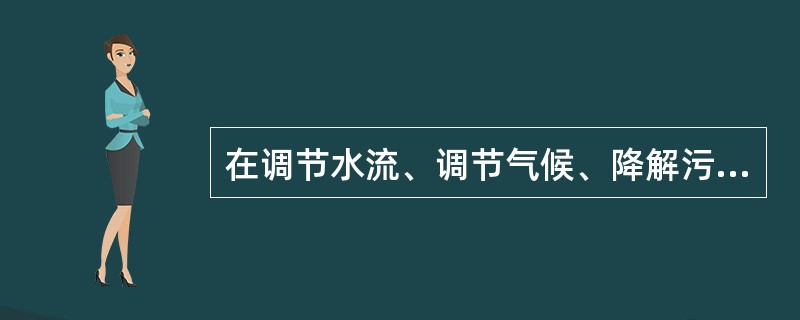 在调节水流、调节气候、降解污染方面有重要作用，被誉为地球之肾的生态系统是？（）