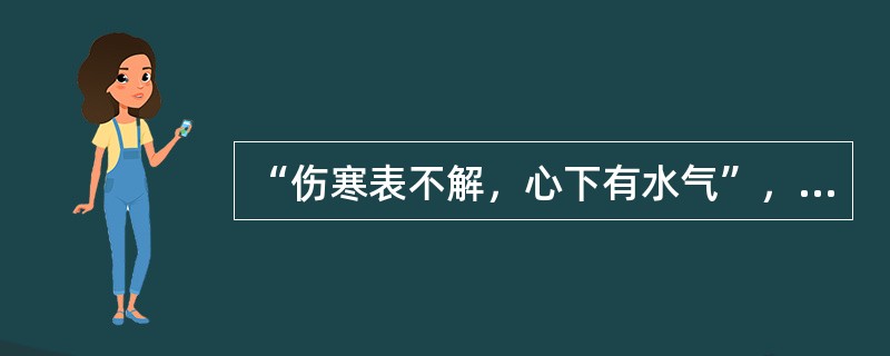 “伤寒表不解，心下有水气”，针对这种病机，选方应用（）。