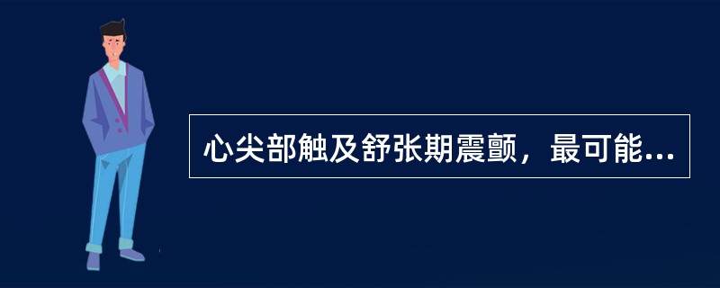 心尖部触及舒张期震颤，最可能的疾病是（）。