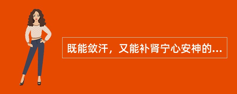 既能敛汗，又能补肾宁心安神的药物（）。