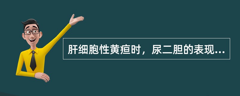 肝细胞性黄疸时，尿二胆的表现是（）。