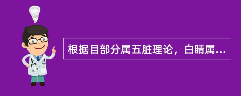 根据目部分属五脏理论，白睛属（）。