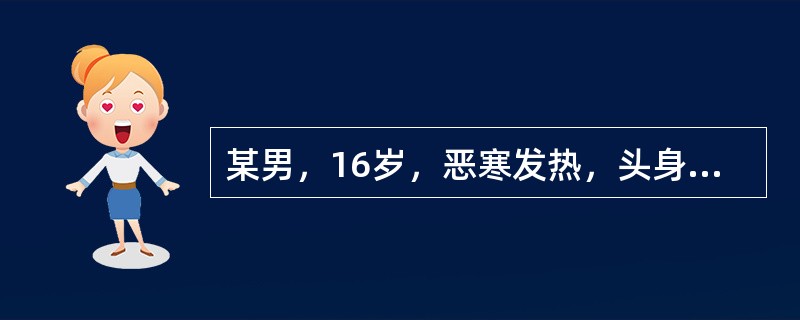 某男，16岁，恶寒发热，头身疼痛，脉浮紧，其舌象应是（）。