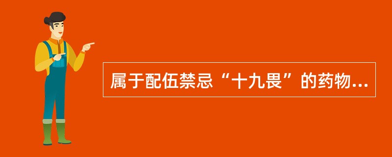 属于配伍禁忌“十九畏”的药物是（）。