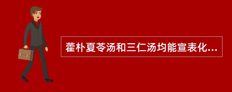 藿朴夏苓汤和三仁汤均能宣表化湿，但三仁汤较适用于（）。