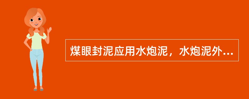 煤眼封泥应用水炮泥，水炮泥外剩余的炮眼部分应用什么封实？