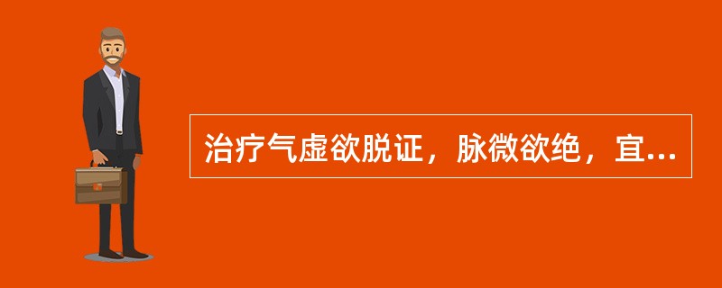 治疗气虚欲脱证，脉微欲绝，宜选用的药物是（）。