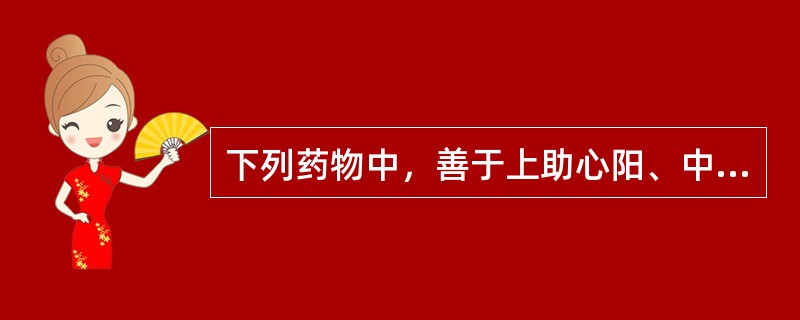 下列药物中，善于上助心阳、中温脾阳、下补肾阳的药物是（）。