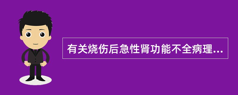 有关烧伤后急性肾功能不全病理变化的描述哪一项是正确的（）