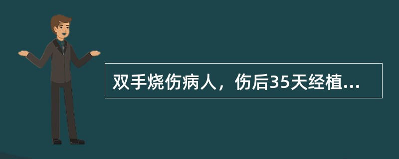 双手烧伤病人，伤后35天经植皮手术后愈合，当时烧伤深度为（）