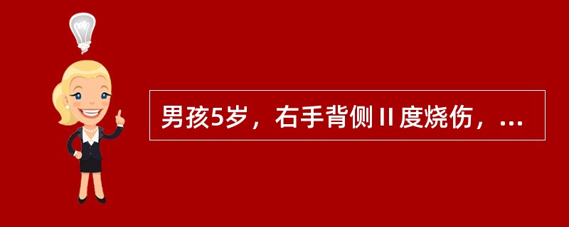男孩5岁，右手背侧Ⅱ度烧伤，左手掌侧Ⅰ度烧伤，其烧伤面积为（）