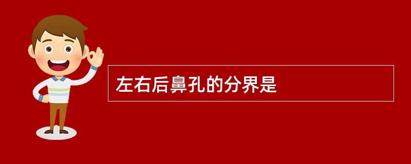 左右后鼻孔的分界是