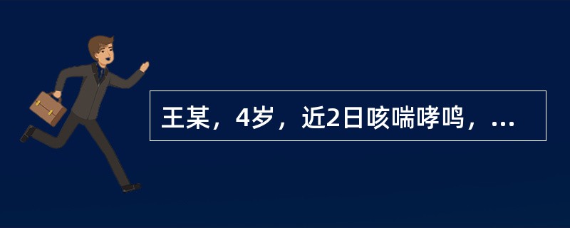 王某，4岁，近2日咳喘哮鸣，呼气延长，痰稠色黄，渴喜冷饮，尿赤便秘，舌红苔黄，脉