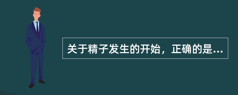 关于精子发生的开始，正确的是（）