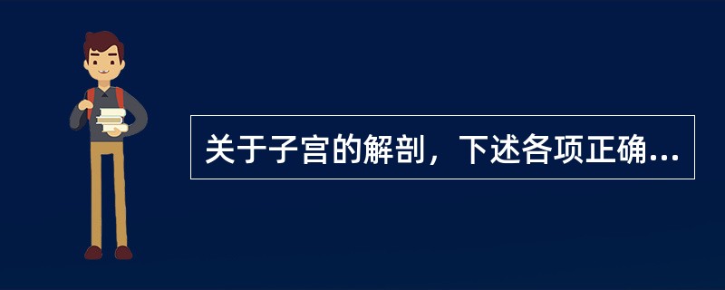 关于子宫的解剖，下述各项正确的是（）
