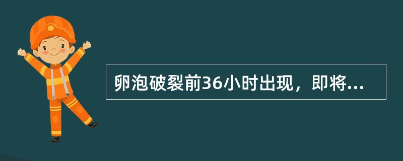 卵泡破裂前36小时出现，即将排卵的可靠指标是（）