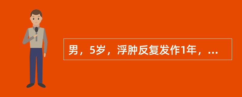 男，5岁，浮肿反复发作1年，浮肿不著，面色少华而苍白，倦怠乏力，易出汗，反复感冒