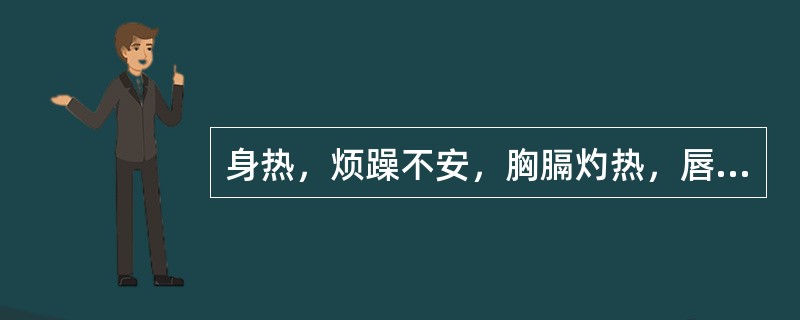 身热，烦躁不安，胸膈灼热，唇焦咽痛，口干便秘，舌红苔黄，脉滑数，证属（）。