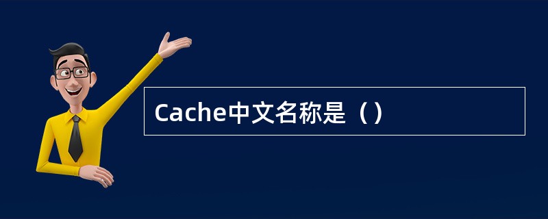 Cache中文名称是（）