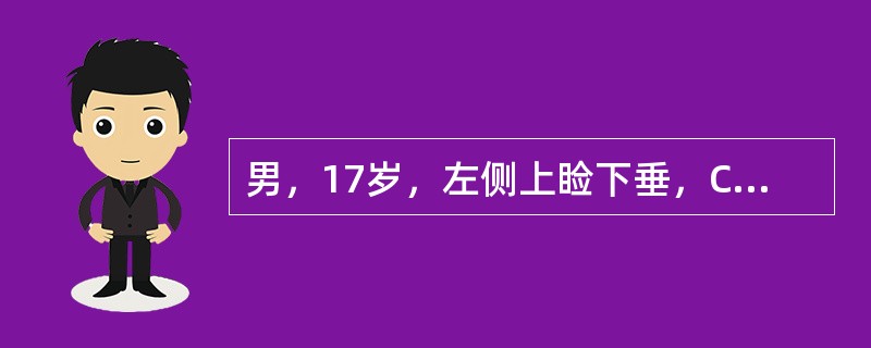 男，17岁，左侧上睑下垂，CT检查如图所示，正确的描述或诊断是（）
