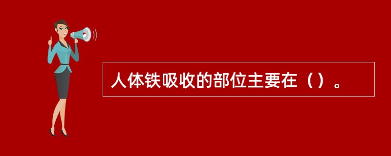 人体铁吸收的部位主要在（）。