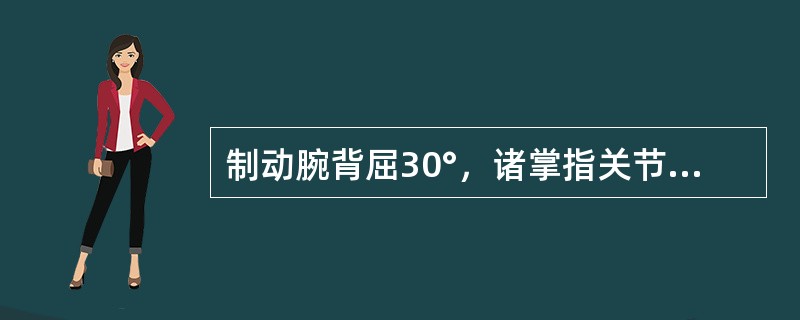 制动腕背屈30°，诸掌指关节伸0°，近侧指间关节可自由活动（）