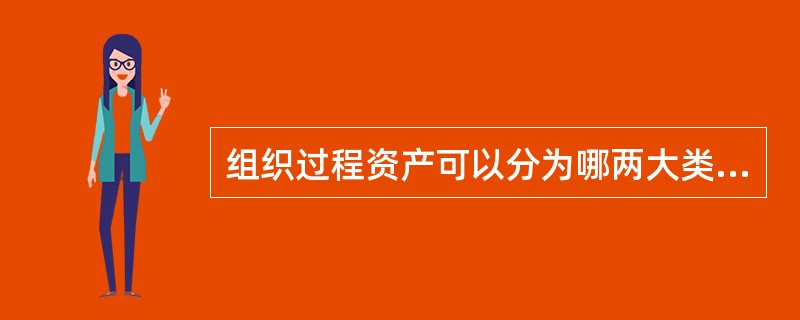 组织过程资产可以分为哪两大类？（）