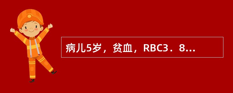 病儿5岁，贫血，RBC3．8×1012／L，Hb80g／L，骨髓增生