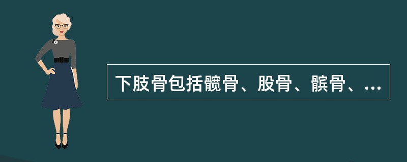 下肢骨包括髋骨、股骨、髌骨、胫骨、腓骨和7块跗骨、5块跖骨和14块趾骨。