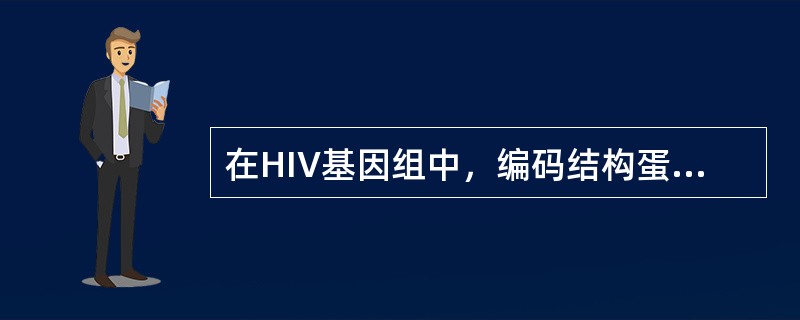 在HIV基因组中，编码结构蛋白的是()