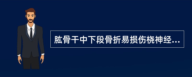 肱骨干中下段骨折易损伤桡神经。()