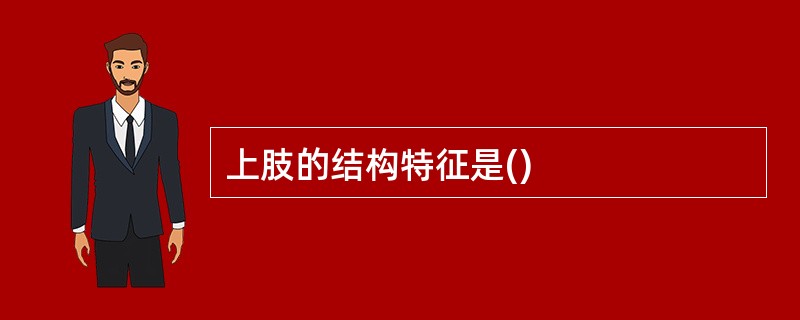 上肢的结构特征是()