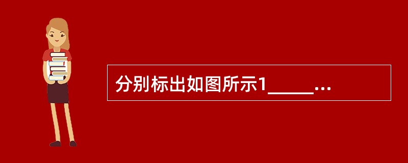 分别标出如图所示1_______________2_______________