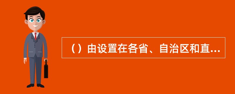 （）由设置在各省、自治区和直辖市的接点组成。