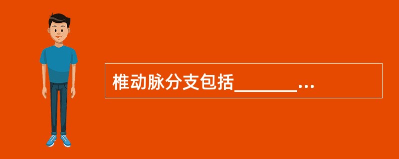 椎动脉分支包括_____________、________，基底动脉分支包括__