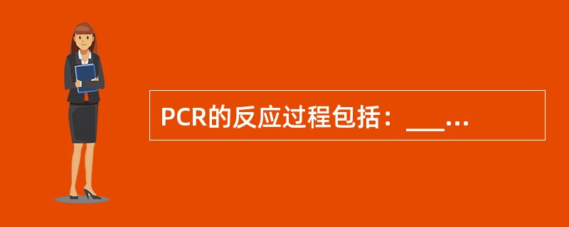 PCR的反应过程包括：________、________、________。