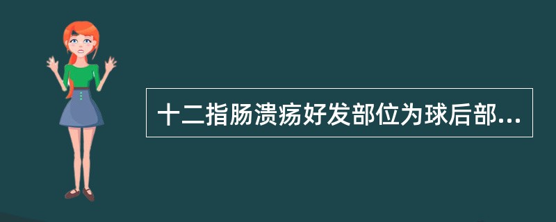 十二指肠溃疡好发部位为球后部。（）