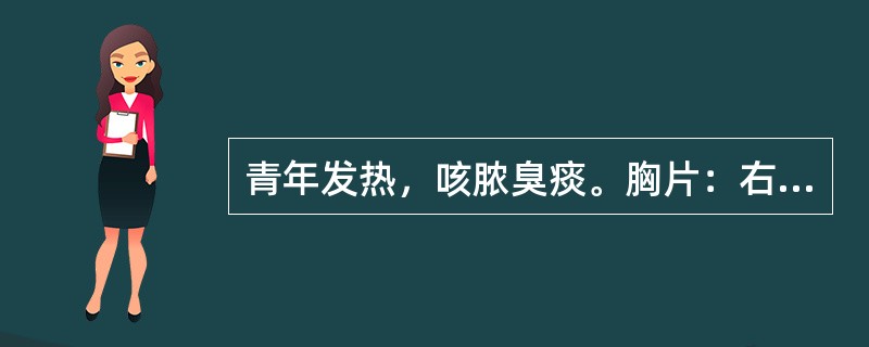 青年发热，咳脓臭痰。胸片：右肺下叶背段脓腔和液气平面为（）