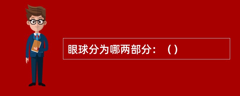 眼球分为哪两部分：（）