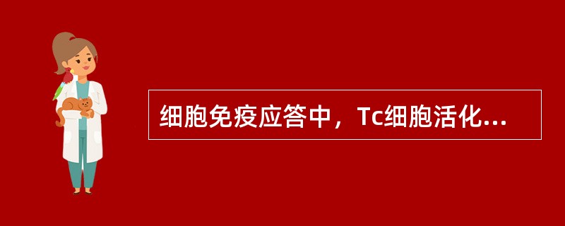 细胞免疫应答中，Tc细胞活化、增殖、分化与下列哪种分子无关（）