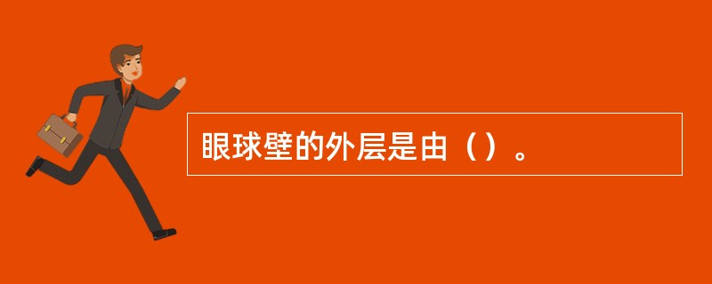 眼球壁的外层是由（）。