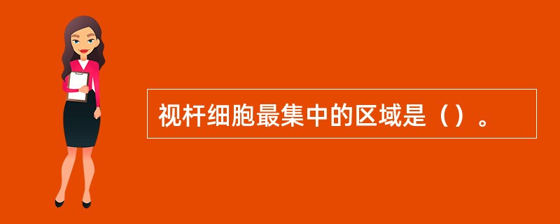 视杆细胞最集中的区域是（）。